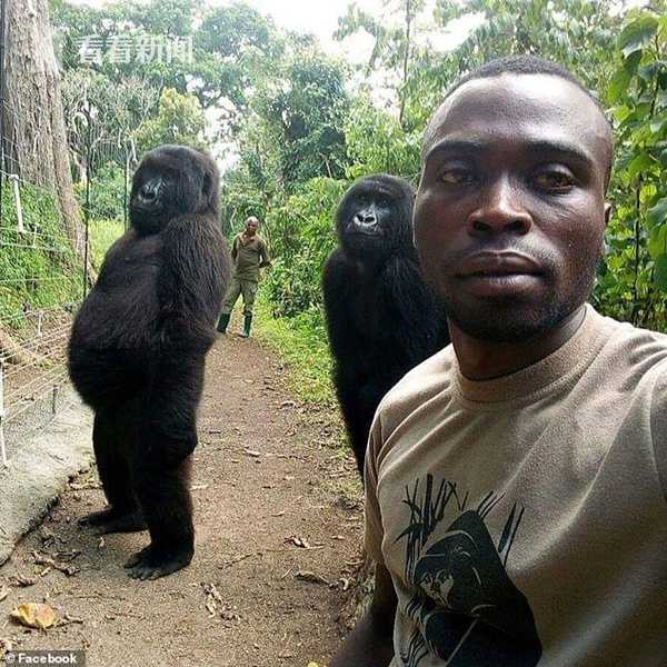 影響！今日附加賽的場均收視人數為289萬