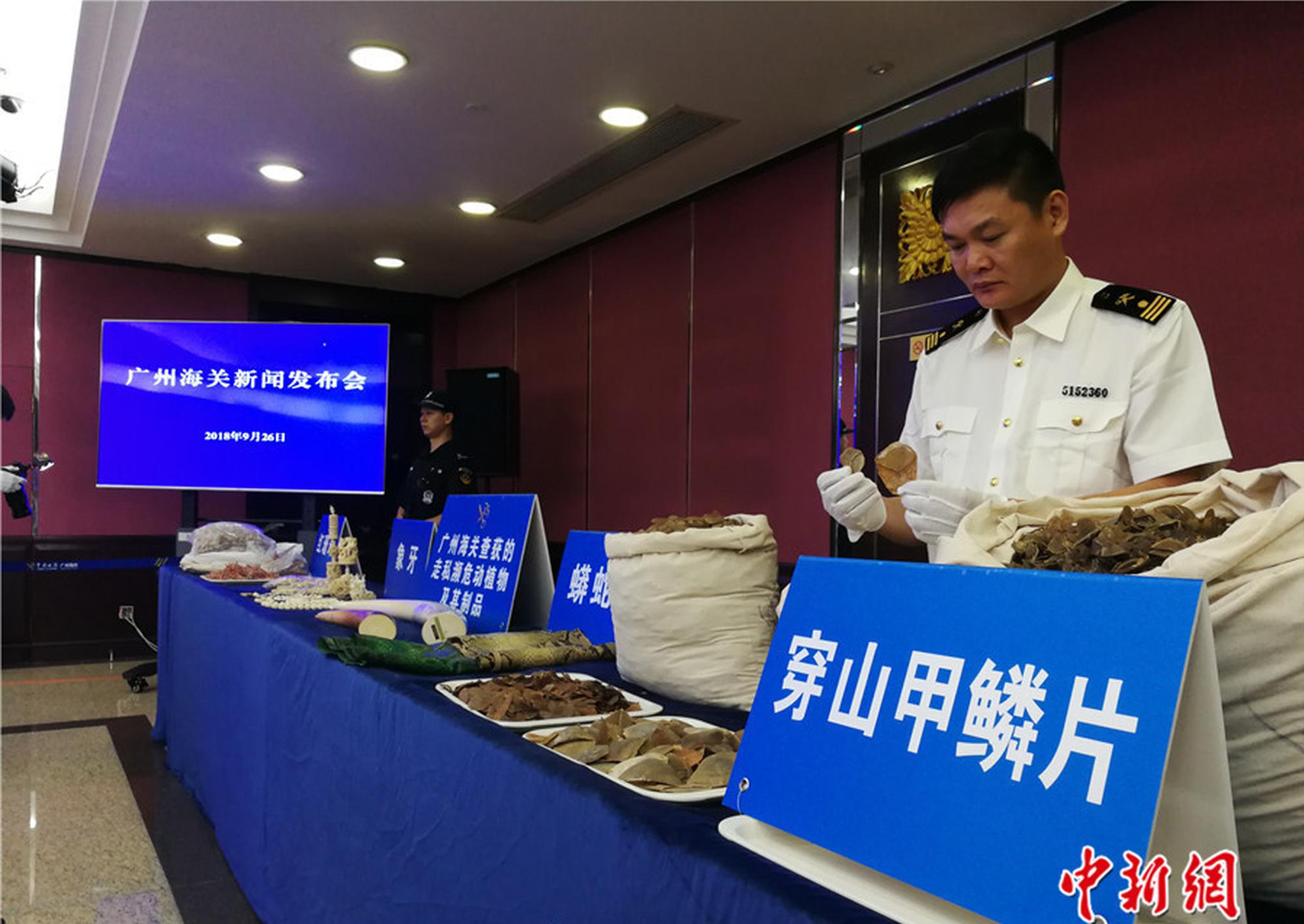 《我們的少年時代》發(fā)布會召開 游戲即將上線