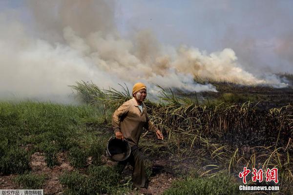 追夢有望成為首位場均8+助攻但得分不足8且命中率低于40%的球員