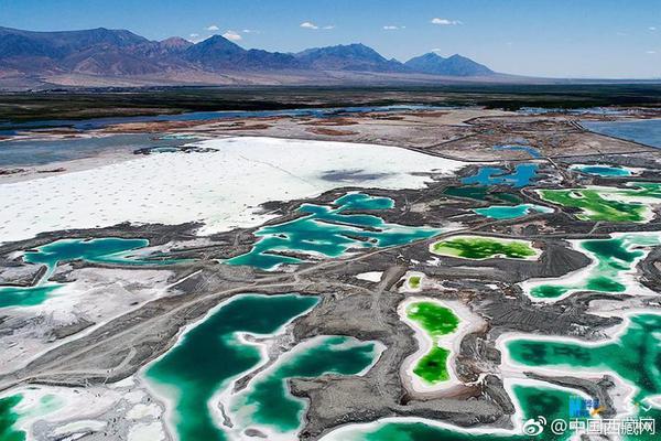 努爾基奇：我期望休賽季能與球隊續(xù)約