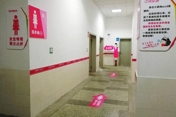 單機末日生計手機游戲引薦 生計求生游戲