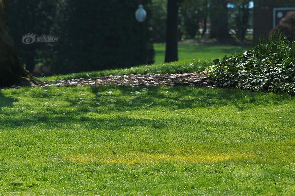 更改qq任務欄圖標