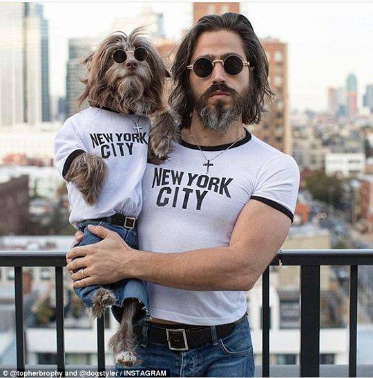 酷狗音樂聽力維護(hù)版試用