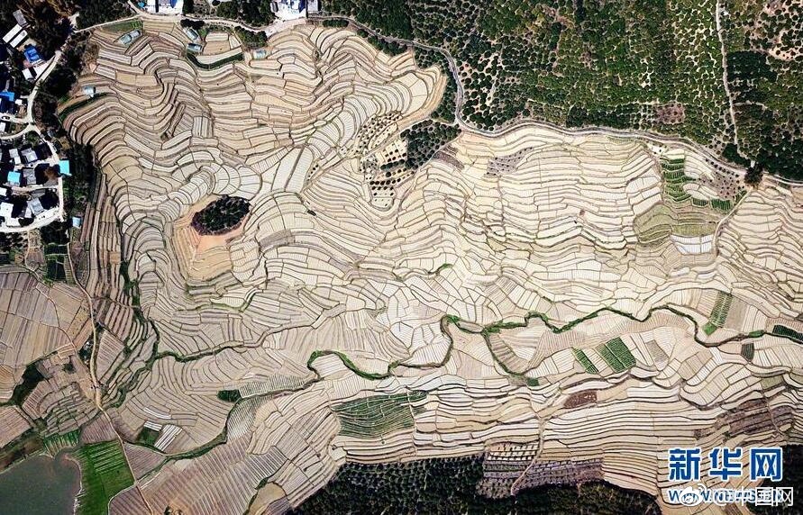 綠軍過去6年5次贏下取勝概率不足1%的比賽 今日曾低至0.7%