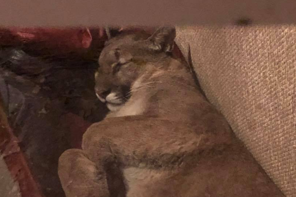 不變、可變、易變、管理信息系統(tǒng)軟件三個層次