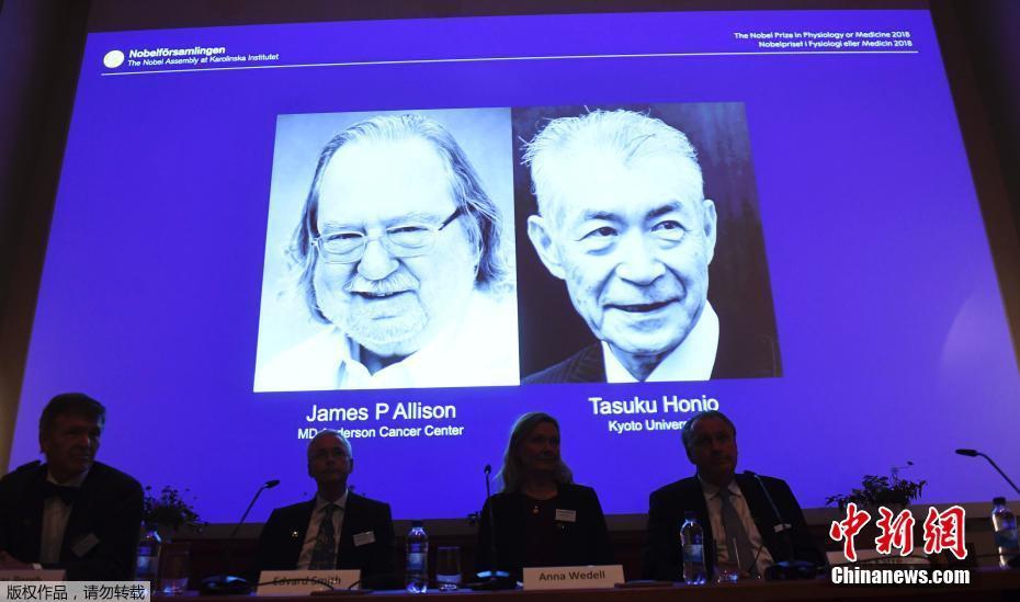 真正說話的貓游戲官方手機版 v3.2