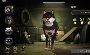 隊記：馬爾卡寧是勇士現(xiàn)在的頭號方針 球隊將會全力爭奪拿下他