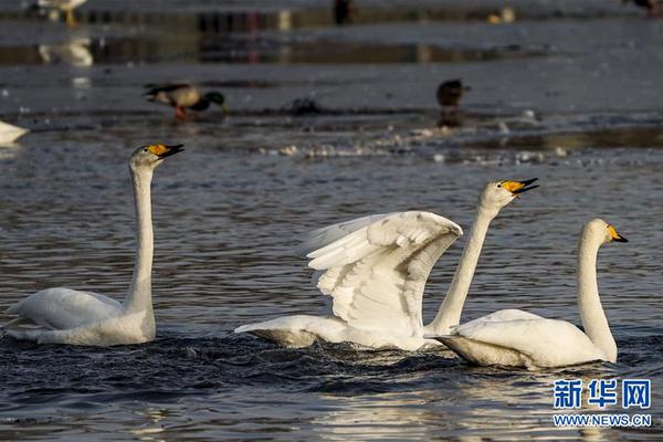 催眠大師智能枕S1怎樣用 催眠大師智能枕S1運用教程