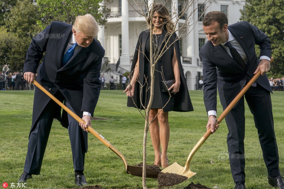 SCO指控是假? Novell稱未曾移送Unix產(chǎn)權