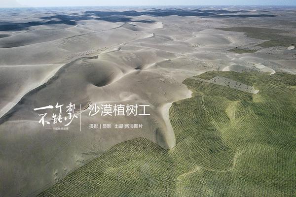 童年冒險啟程 《數(shù)碼寶貝進化》今日安卓首發(fā)