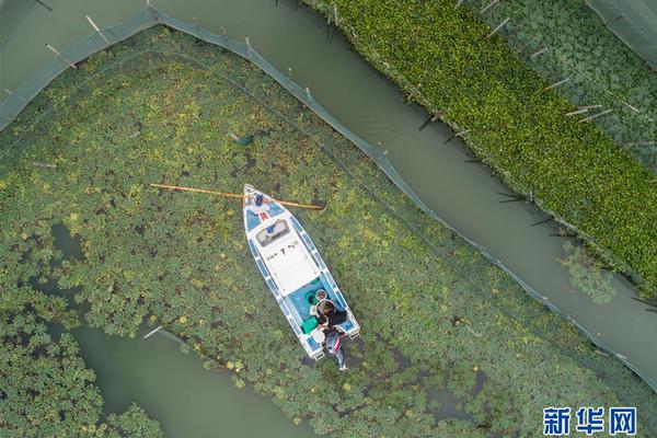 supesite????????????