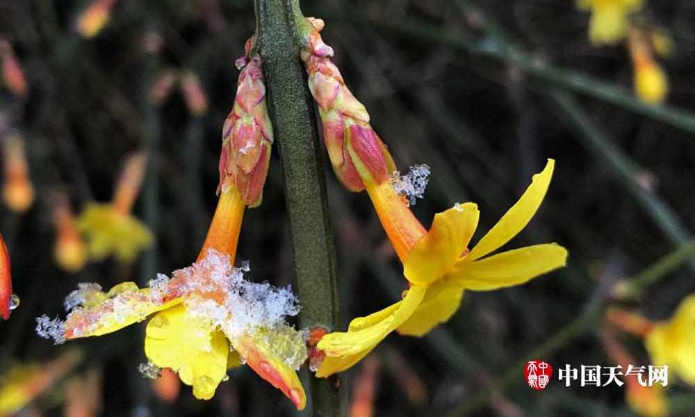 貝弗利談KD留言：他回應(yīng)正說明晰我防守好 他都不在我面前運球