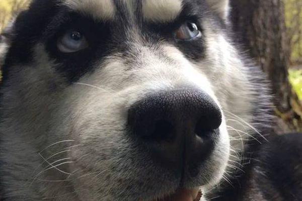 不是有用的win32怎么處理