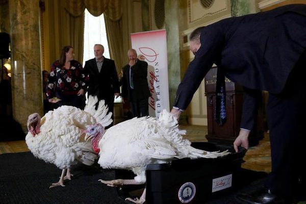 歐洲軟件專利法有變 開源社區(qū)面對嚴重沖擊