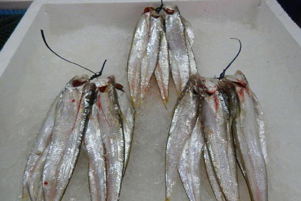 微信皮膚主題怎樣換？安卓、蘋果設置替換皮膚辦法一覽[多圖]