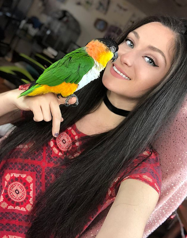 暴力女英雄手機游戲《獵靈》妖精塔迪婭