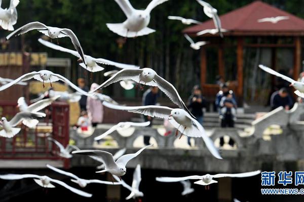 最高分辨率是什么