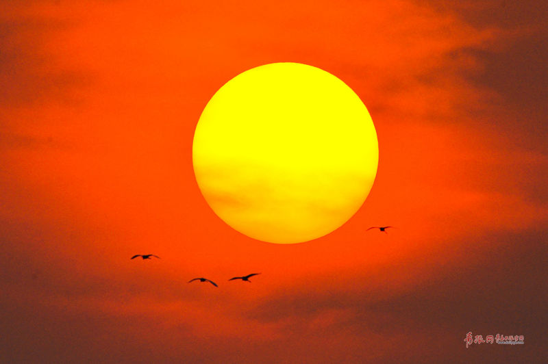 qq瀏覽器怎樣設置主頁