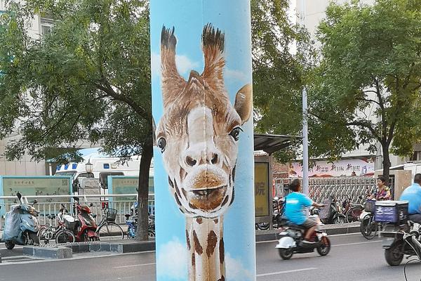 休閑滑雪游戲引薦 模仿滑雪跑酷