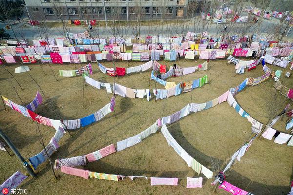 合適老友之間玩的手機游戲引薦 一同聯(lián)機一同高興