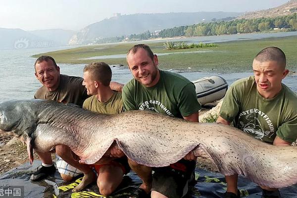 萬彈齊發(fā)! 《彈彈堂手游》團戰(zhàn)新模式即將來襲