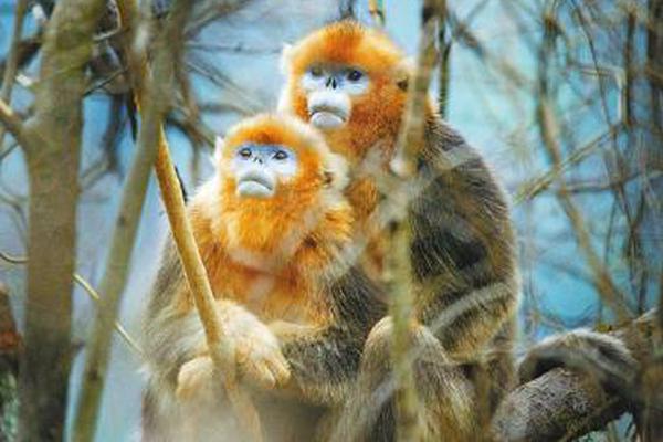 ????????????????е?????????