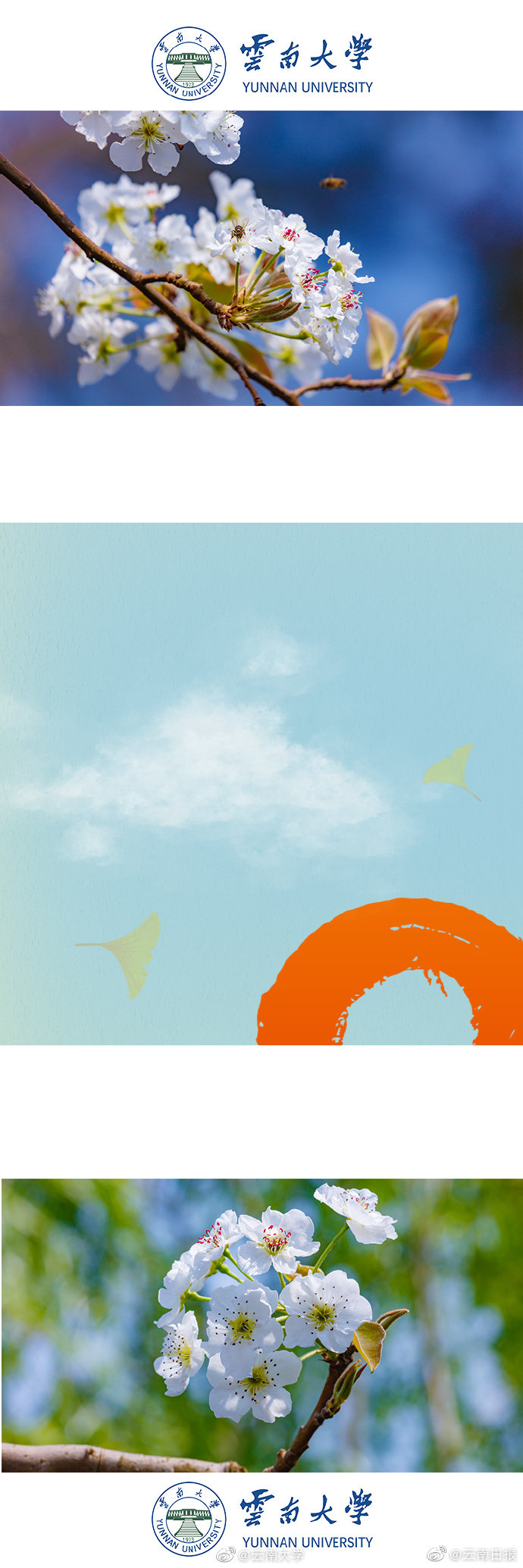 魅藍s6新品發(fā)布會直播地址 魅藍s6手機發(fā)布會直播網(wǎng)址