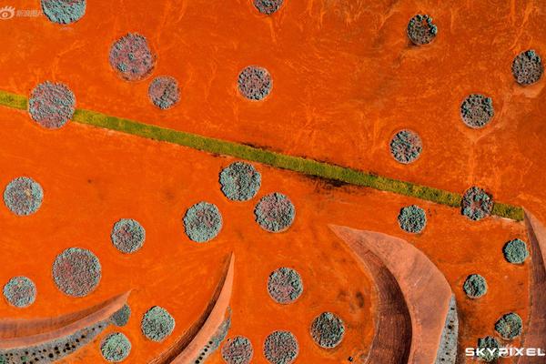 跑酷游戲大全引薦 免費不必實名認證