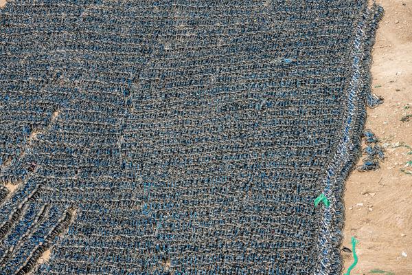 谷歌欲收買韓國第二大搜索引擎Daum