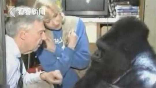 太陽老板稱謝球迷：感謝我們支撐，讓我們從頭動身吧