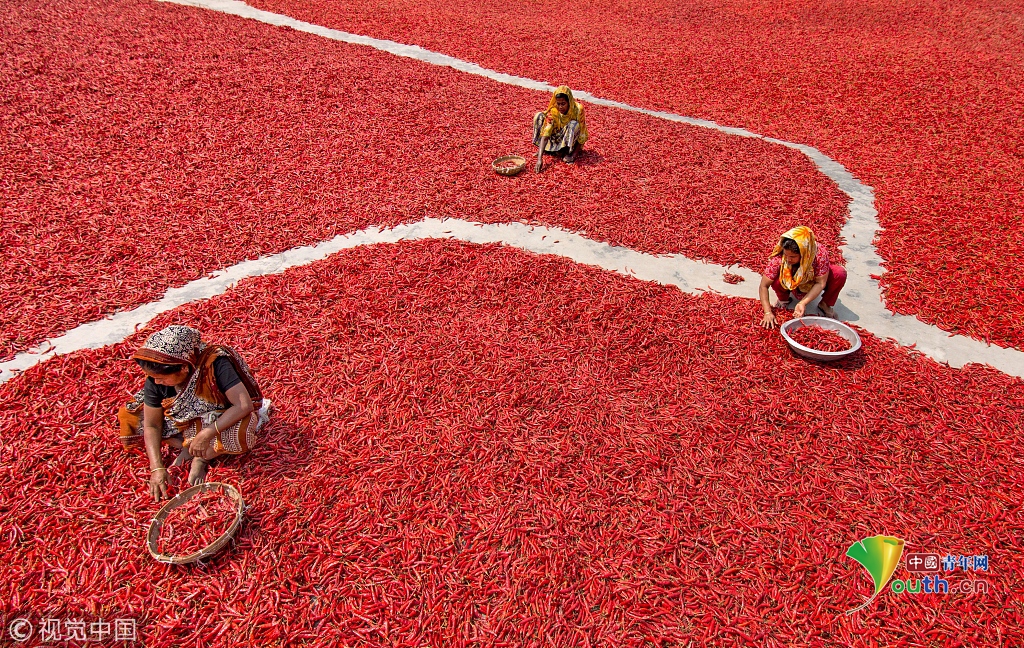 快船官方今天給出的傷病名單，小卡并不在列