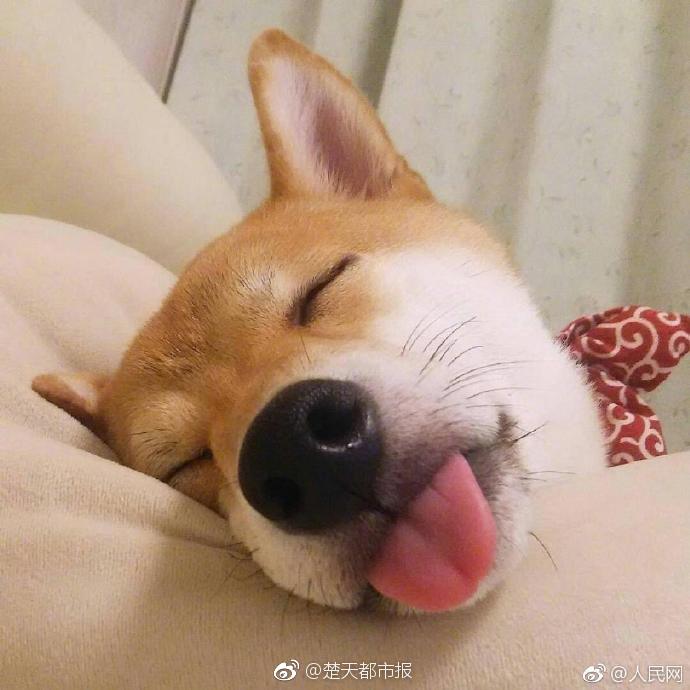 螞蟻莊園7月25日答案 水下飛天舞蹈火爆全網(wǎng)飛天動作與什么有關(guān)