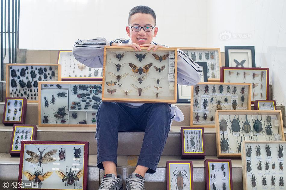 qq表情在哪個文件夾