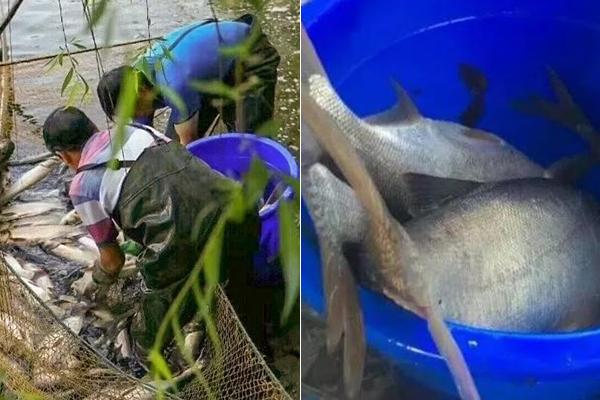 師夷長技以制夷《王者榮耀》預(yù)計9月登錄歐美[圖]