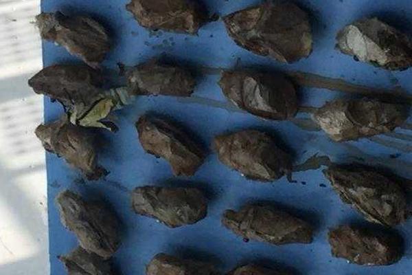 手把手教你DIY迷你通明機箱