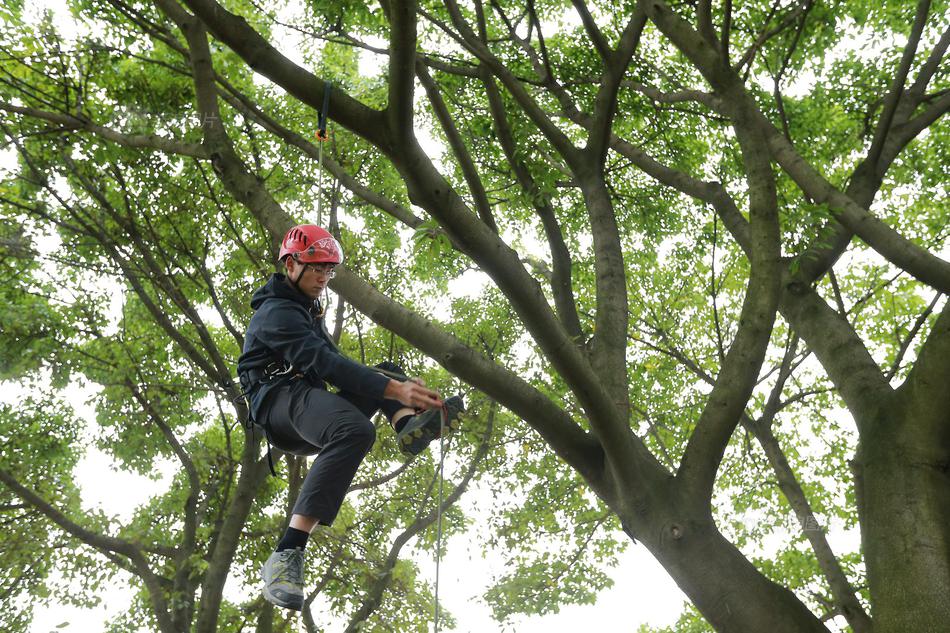 暫時欠編是什么意思
