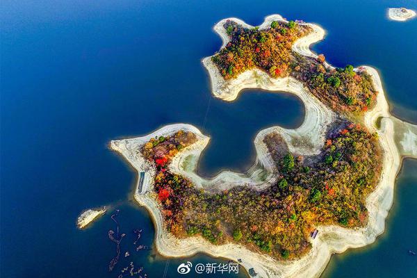 沖擊NBA新希望！名嘴曝張鎮(zhèn)麟計劃留美