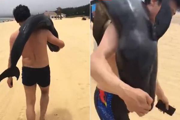 螞蟻莊園4月11日答案 有些京彩上有松枝樣的斑紋還能定心食用嗎