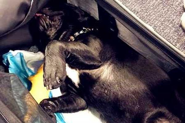 騰訊宣告戰(zhàn)略出資高興網