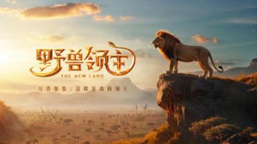 細數(shù)朗尼沃克下家 尼克斯獨行俠騎士