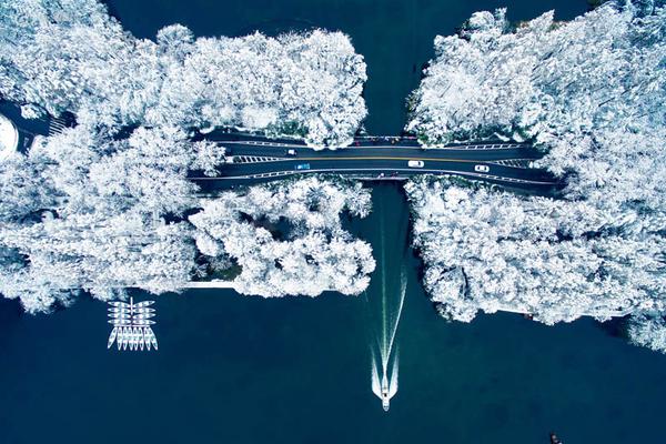 EXCEL 不變量與變量公式求法