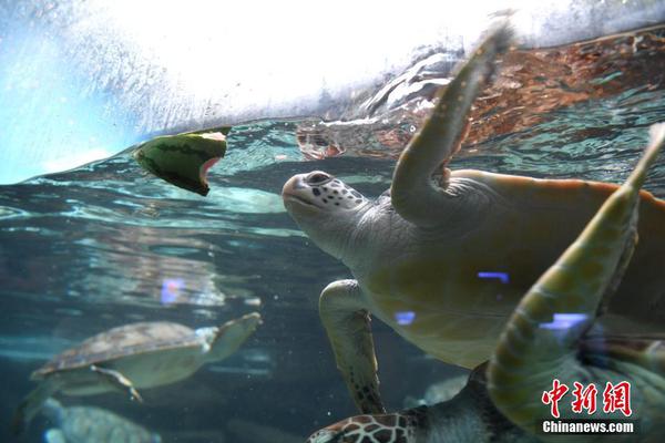 鮑爾：我樂意留在鵜鶘隊