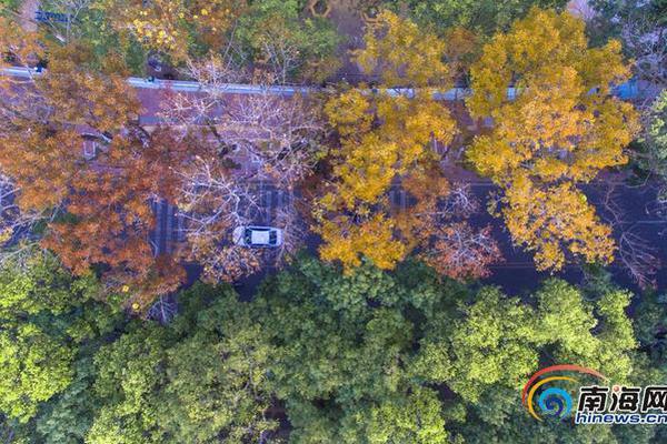 勇士記者Q&A：沒人是非賣品除了庫里 暫時不會交易烏布雷