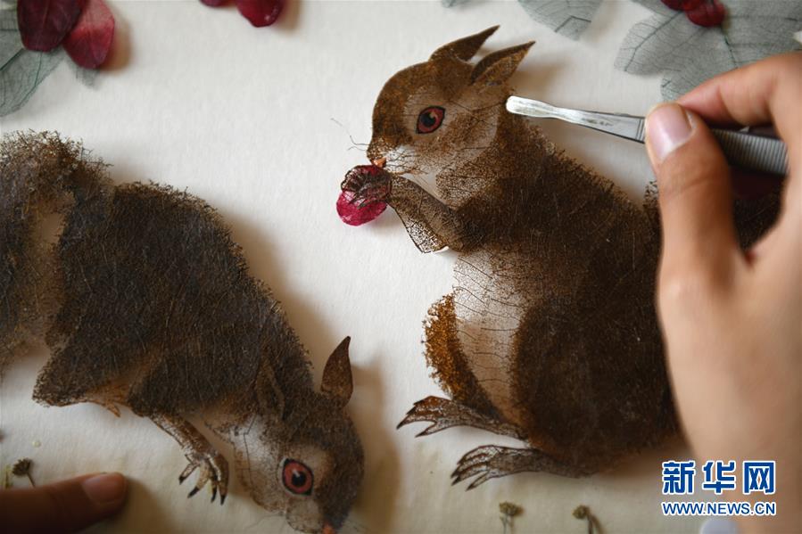 美圖看看是什么