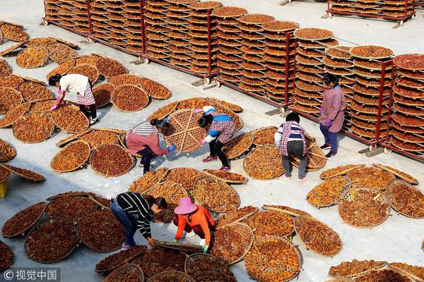 谷歌輸入法導入詞庫技巧 第三方詞庫導入谷歌拼音輸入法教程