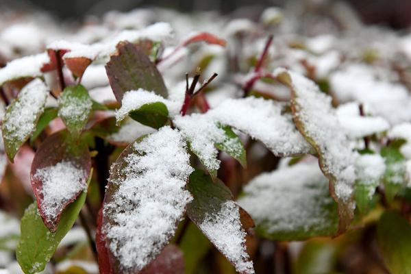 世紀天成2023ChinaJoy滿意閉幕，多圖精彩回憶！