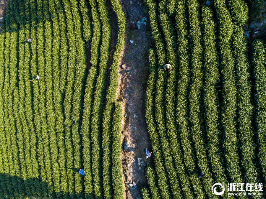 百度地圖怎么看街景  百度地圖看街景教程