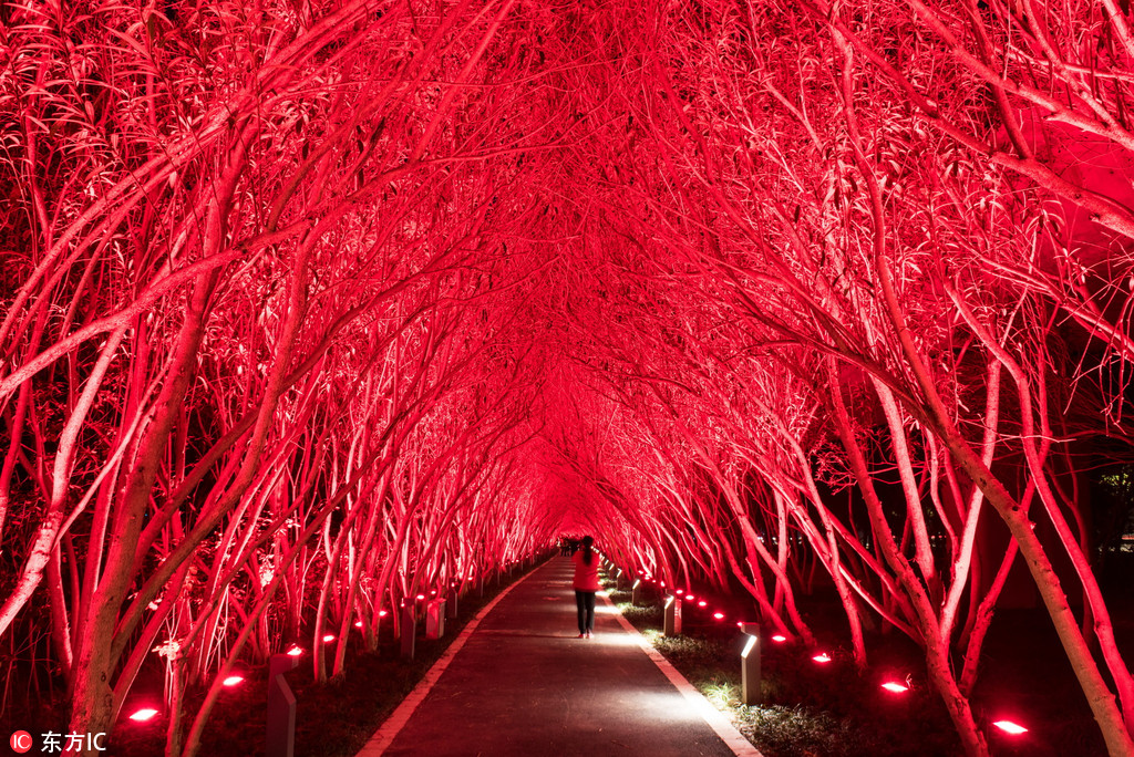 湖人近5場比賽3勝2負 戰(zhàn)勝尼克斯、太陽和掘金