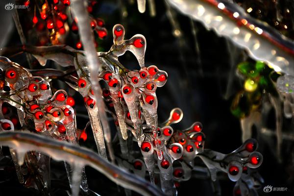 閩南德化再登美國紐約時報廣場大屏