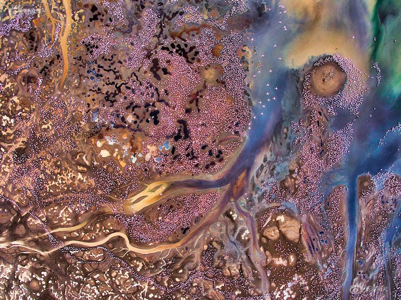 回老東家？Stein：快船是巴圖姆爭奪戰(zhàn)的強力競爭者